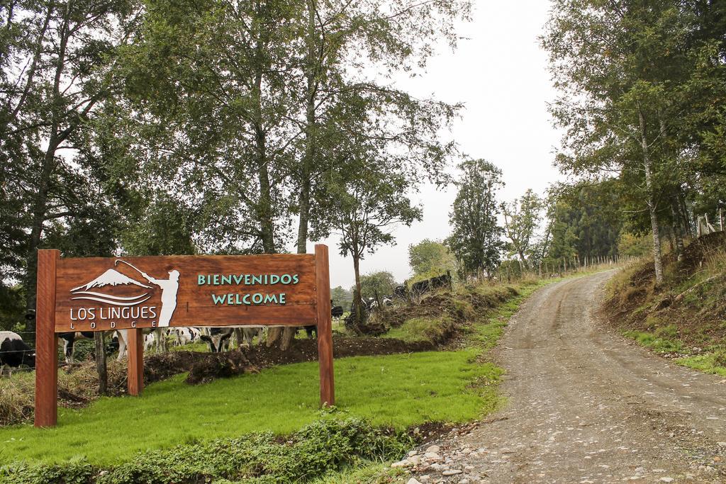 Los Lingues Lodge Puerto Octay Buitenkant foto