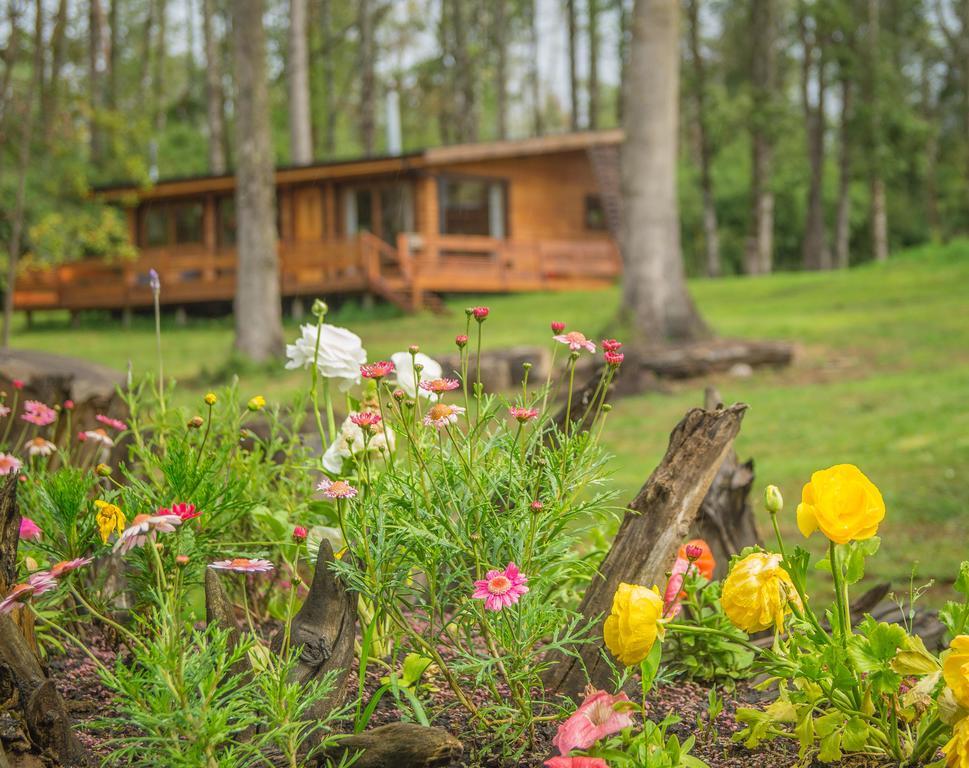 Los Lingues Lodge Puerto Octay Buitenkant foto